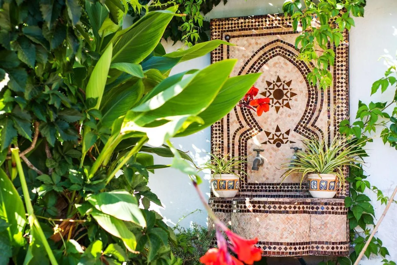 Finca Las Palmeras, Alhaurin El Grande Spain